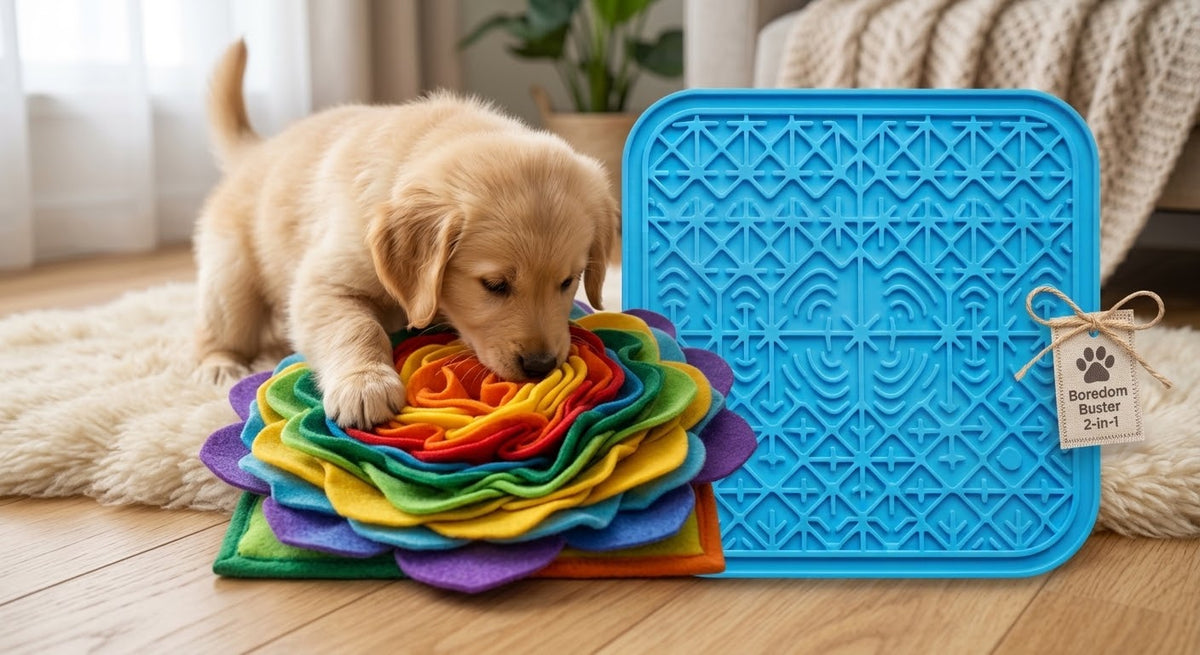3-in-1 Dog indoor boredom-buster kit(snuffle mat+lick mat)